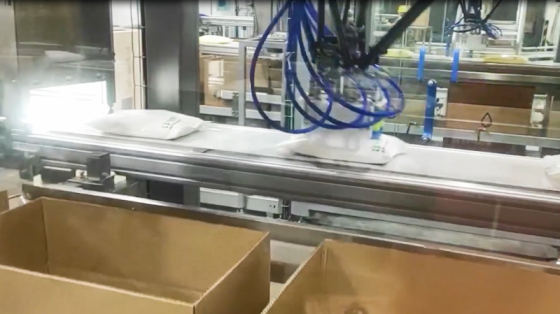 食品行业-袋装粉剂装箱 -阿童木机器人