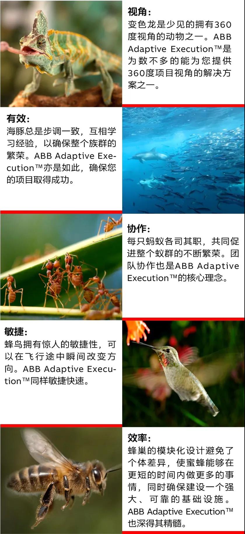 【ABB】ABB发布全新能源行业解决方案：ABB Adaptive Execution™项目执行方法