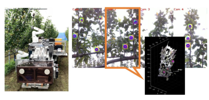 日本自主水果采摘机器人面市:1分钟采摘5个 速度接近