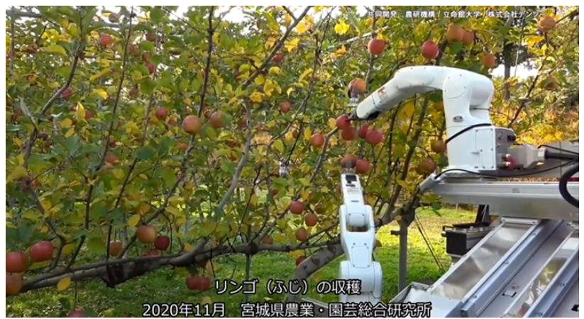 日本自主水果采摘机器人面市:1分钟采摘5个 速度接近