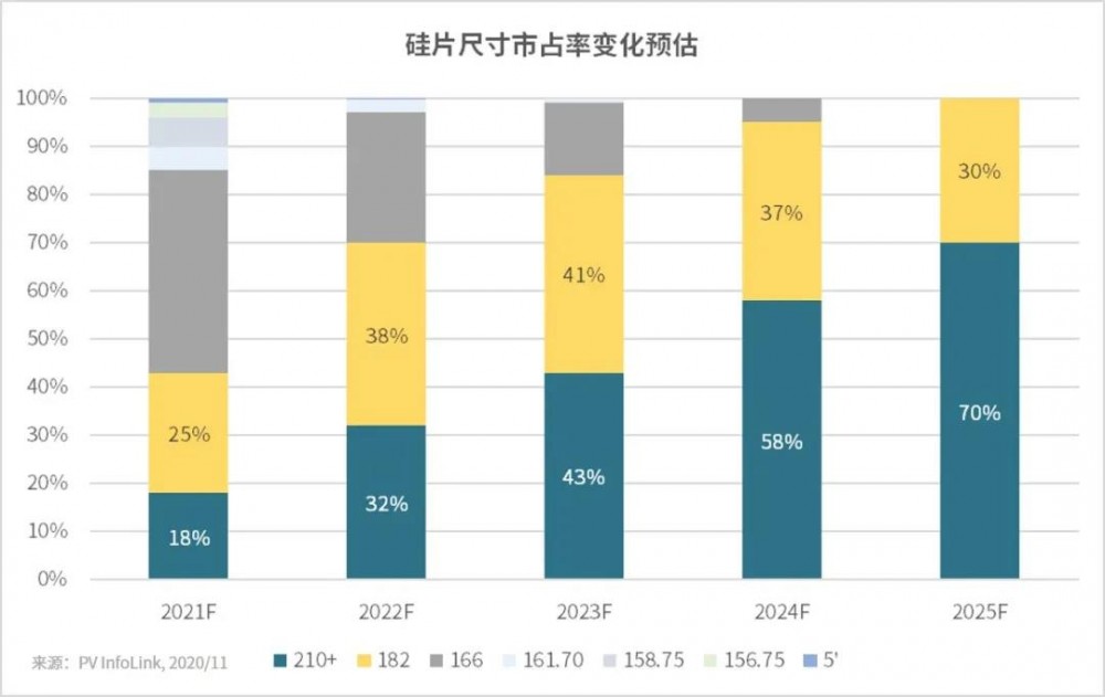 【史陶比尔】别看身材“小”，无惧“大”挑战