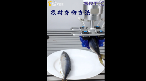 食品行业_鲅鱼包装_SRT软体机器人