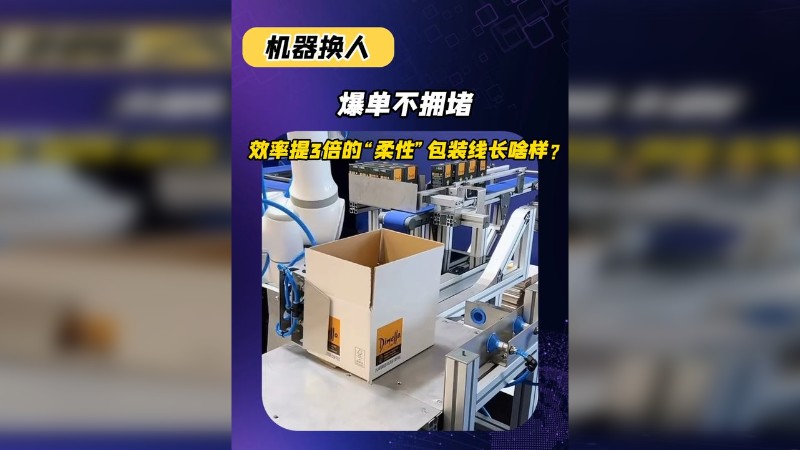爆单不拥堵,效率提3倍的“柔性”包装线长啥样?