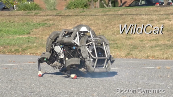 波士顿动力系列：四足机器人WildCat